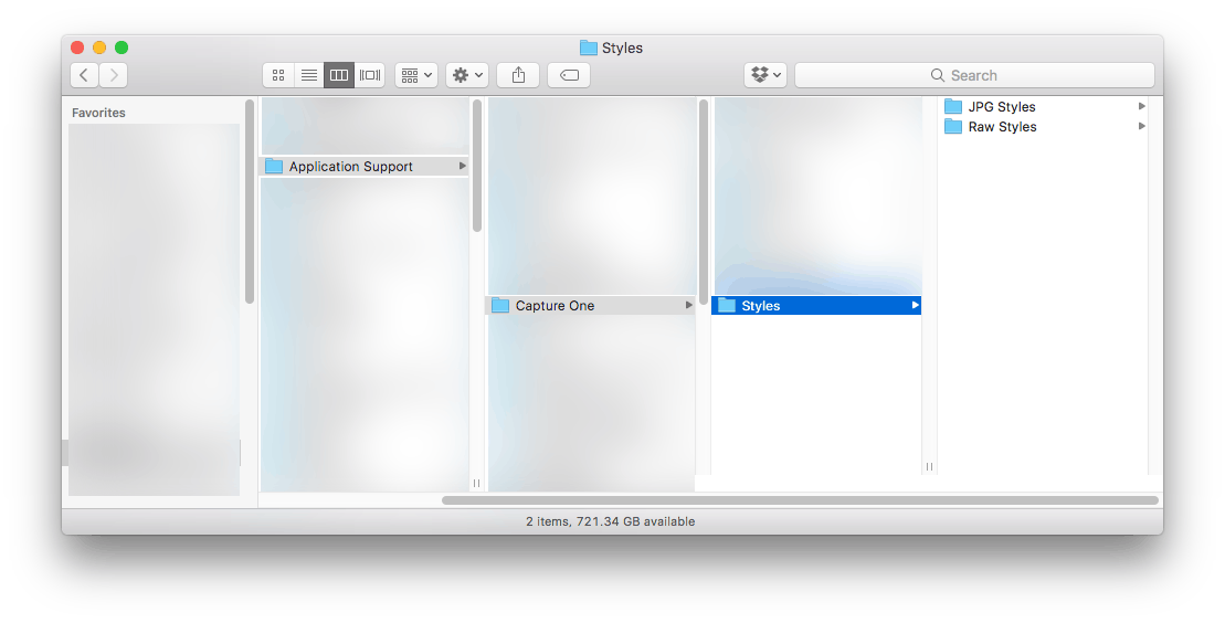 what is the folder for capture one styles